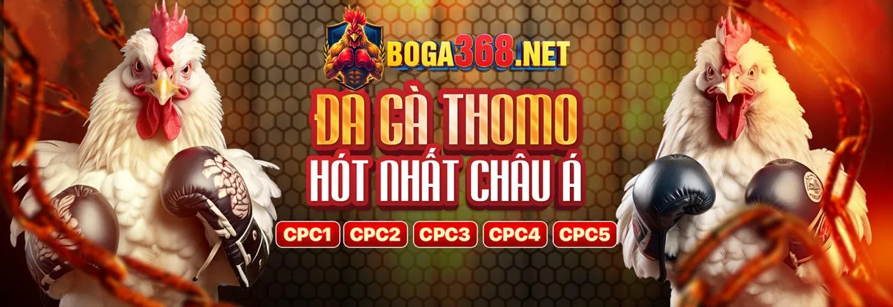 Các loại hình đá gà phổ biến tại OK789 Login